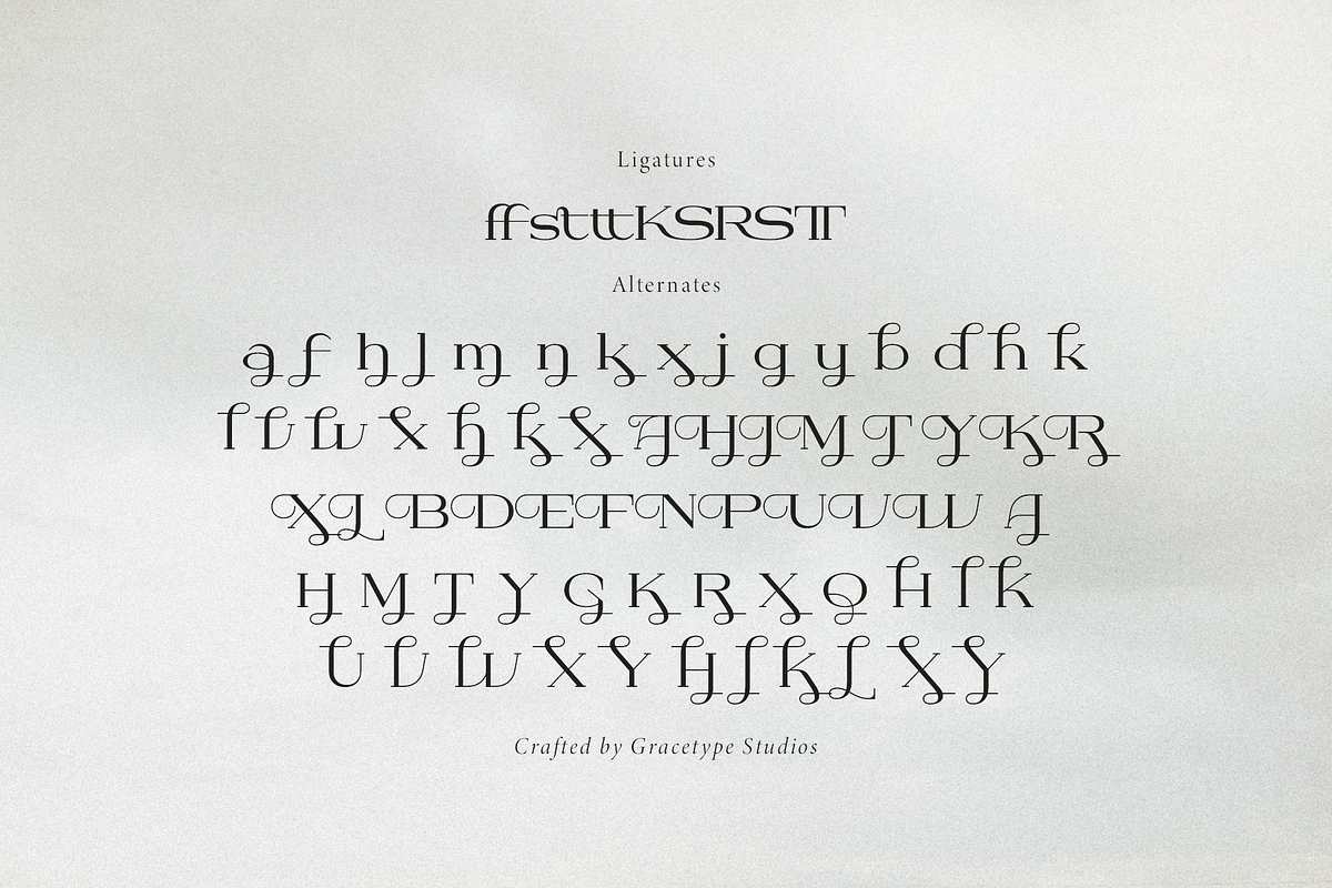 Dyrenko | Display Serif Font, a Serif Font by gracetype_studio (Photo 12 of 12)