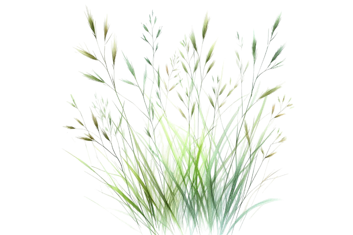 Watercolor Grass Clipart, an Illustration by Designking (Photo 3 of 4)
