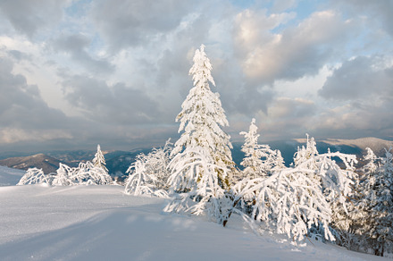 Winter evening mountain snowy landscape, a Nature Photo by YuriyB