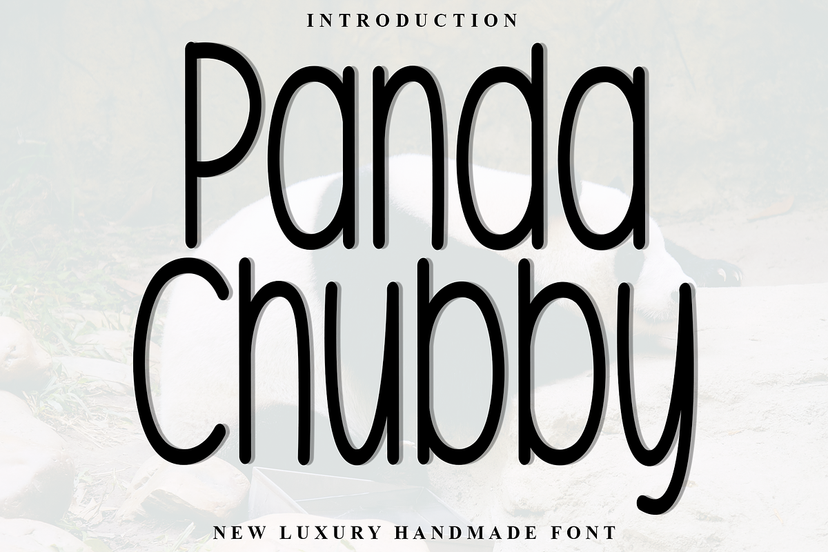 Panda Chubby, a Serif Font by InermediaSTUDIO (Photo 1 of 8)