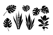 Minimal Botanical Leaf Silhouette Bu, an Illustration by Creativeshirt (Thumbnail 13 of 51)