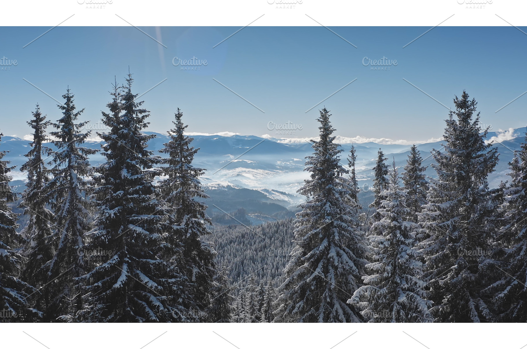 Aerial view of snow covered pine, a Nature Photo by Goinyk