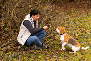 Woman training beagle dog, a Photo by Grafvision photography