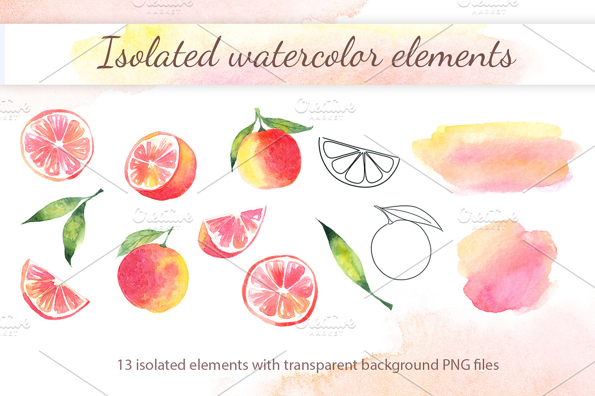 Grapefruit Watercolor Clipart, a Decorative Illustration by YuskinKot (Photo 5 of 5)