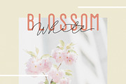 Filia - Script, Sans, & Bold Font, a Script Font by Inspiratype (Thumbnail 8 of 11)