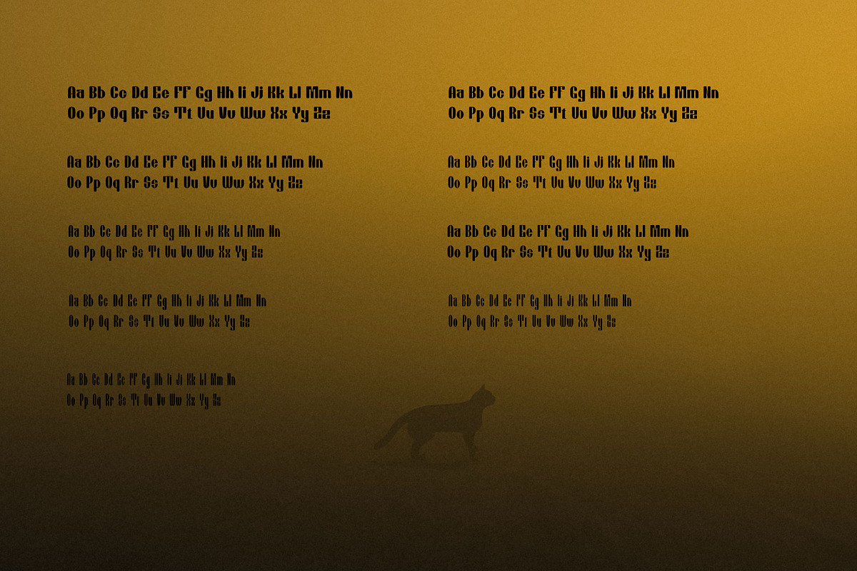 Chiper Type, a Serif Font by Canden Meutuah (Photo 4 of 5)
