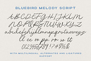 Bluebird Melody - Organic Font Duo, a Handwritten Font by Letterhend Studio (Thumbnail 8 of 9)