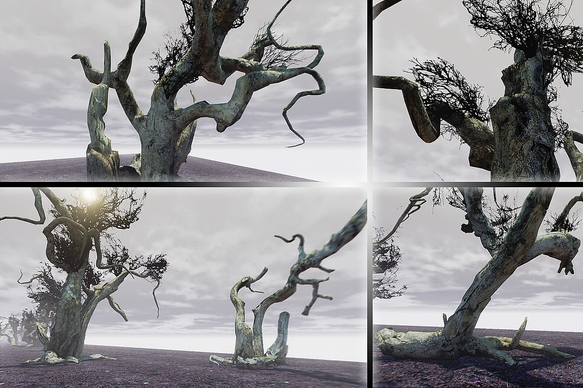 Witchwood, an Environmental 3D Model by MotuProprio (Photo 6 of 7)