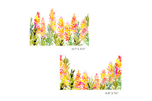 Watercolor Pink Yellow Lupine Flower