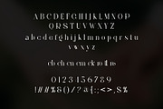 Rotton Modern Serif, a Serif Font by yaqublekker (Thumbnail 8 of 8)