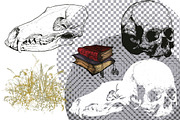 Skull, an Object Graphic by ArtOwl (Thumbnail 7 of 10)