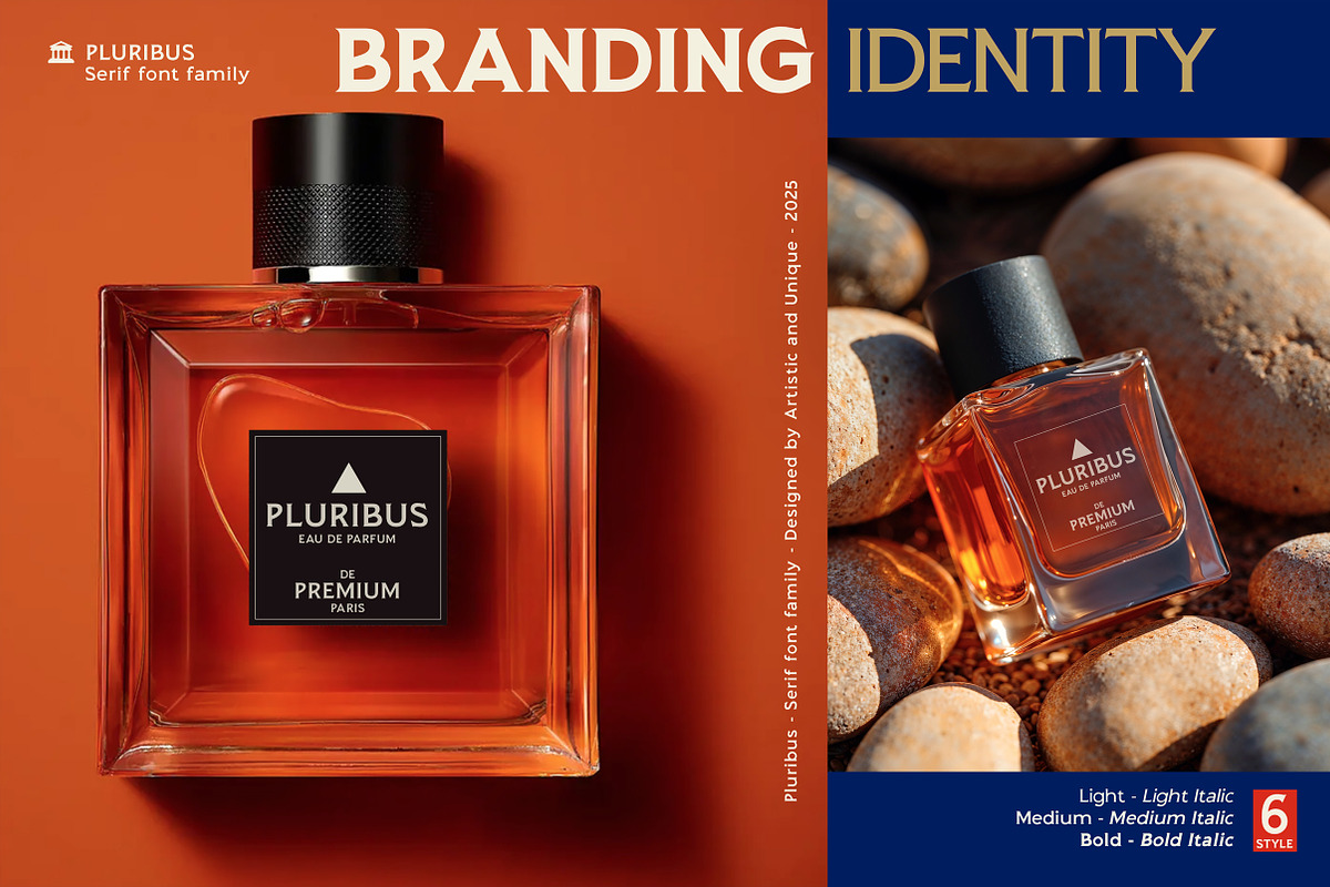 Pluribus - Serif font family, a Serif Font by Artistic & Unique (Photo 10 of 15)