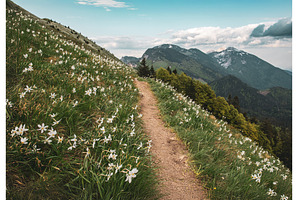 Beautiful mountain landscape with