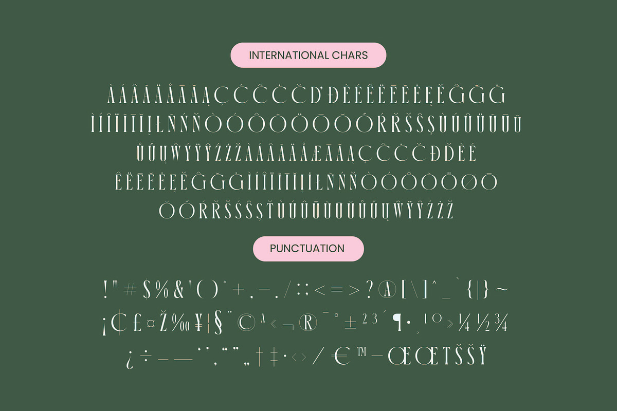 Orleans Brightens Modern Serif, a Serif Font by timelesstype.co (Photo 14 of 15)