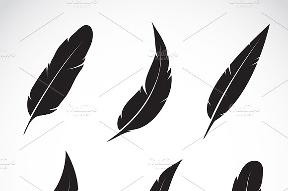 Vector Group Of Feather.