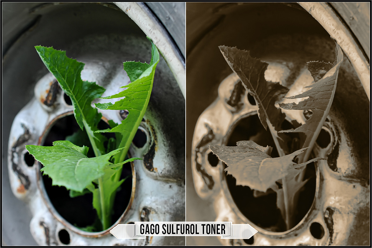 Darkroom Toners - Sepia Profiles, a Plug-in Add-On by Raztrend (Photo 21 of 30)