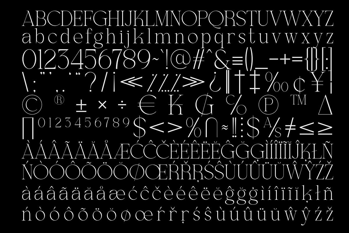 Vasion - Modern Serif Font, a Serif Font by MaikoHatta (Photo 5 of 7)