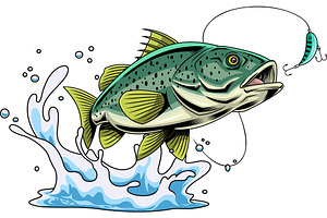 Spotted Bass Fish Cartoon Character, an Illustration by HitToon