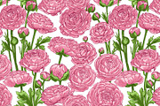 Ranunculus flowers. Buttercup Vector, a Decorative Illustration by irina.vaneeva (Thumbnail 4 of 4)