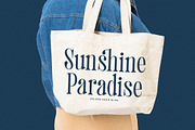 Trangels New Tall Serif Display, a Serif Font by timelesstype.co (Thumbnail 11 of 20)