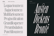 Shomina Font, a Serif Font by Cuchi, qué Tipo! Foundry (Thumbnail 7 of 21)