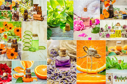 Collage of herbs and essential oil featuring aloe vera, apricot, and