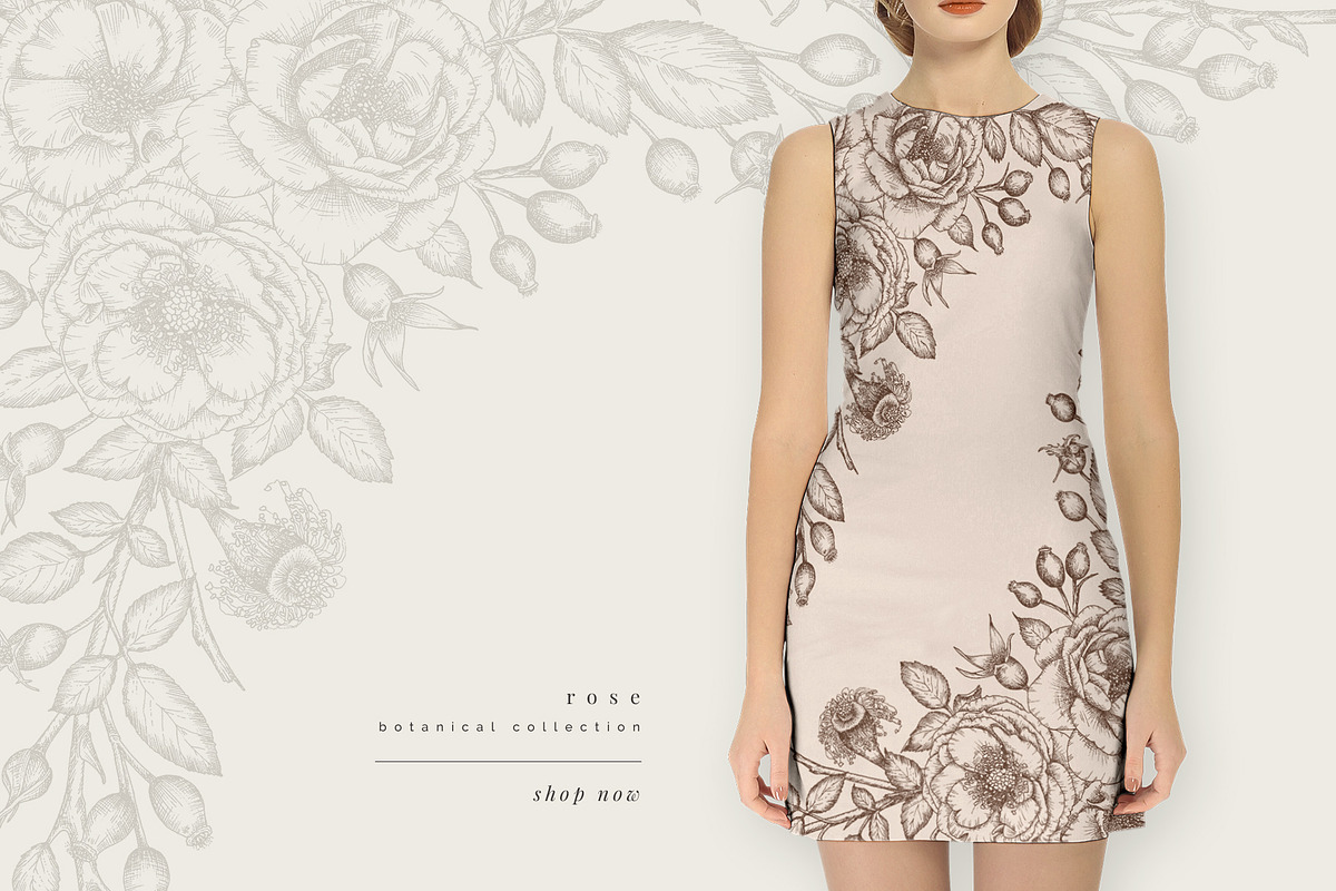 rose | botanical illustrations, an Illustration by Sophia J Caldwell (Photo 10 of 23)