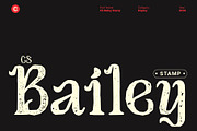 CS Bailey Stamp, a Serif Font by Craft Supply Co. (Thumbnail 1 of 8)