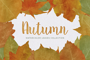 Watercolor Autumn & Fall Leaves