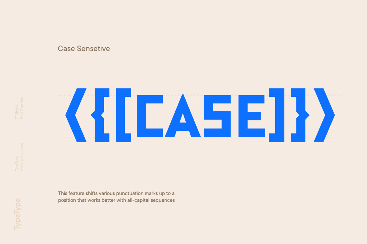 TT Bricks, a Sans Serif Font by TypeType (Photo 2 of 13)