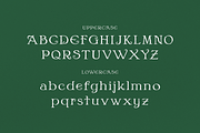 Winter Veil - Festive Typeface, a Serif Font by HipFonts (Thumbnail 8 of 11)