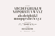 Seagle Elegant Serif Font, a Serif Font by Graphicxell (Thumbnail 8 of 8)