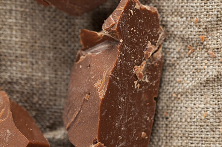 broken into several parts pieces of chocolate from cocoa, a Photo by MyPhotos