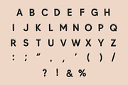 Boston - Display Vintage Font, a Sans Serif Font by Fourteen Letter (Thumbnail 6 of 7)