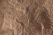 Irregularities of cement plaster, an Abstract Photo by Schreibikus (Thumbnail 10 of 12)