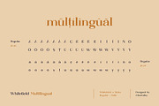 The Versatile Font Bundle, a Sans Serif Font by AlienValley (Thumbnail 10 of 141)