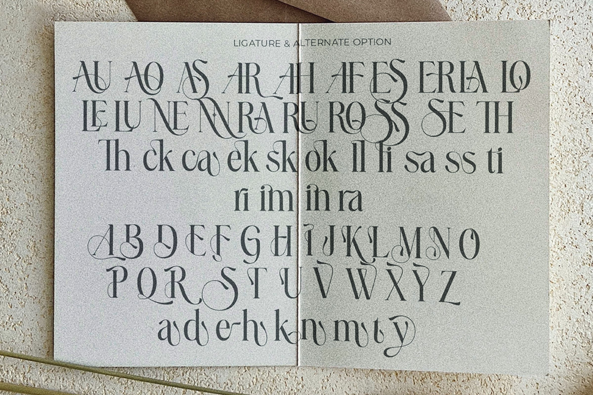 Aurelia Symphony, a Serif Font by saemoon creative (Photo 13 of 15)