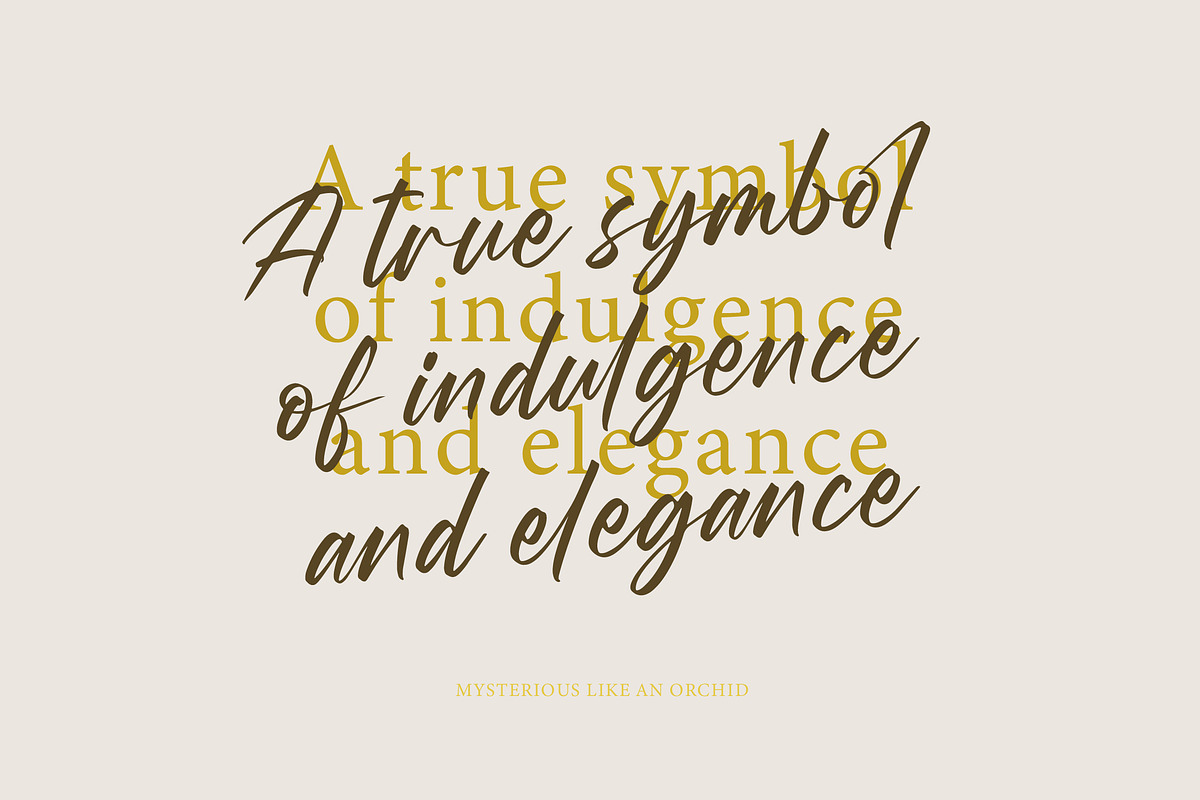 Wystine Esphelta Modern Brush Font, a Script Font by Letterena Studios Script (Photo 4 of 20)