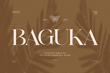 Baguka Elegant Serif Font