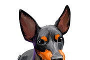 Puppies Dog Breeds Big Bundle 135Pcs, an Animal Illustration by Dneprstock (Thumbnail 15 of 68)