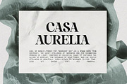 La Mystere - Editorial Serif Font, a Serif Font by SilverStag Type Foundry (Thumbnail 20 of 30)