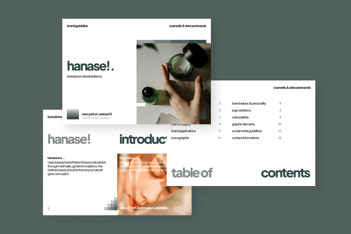 Hanase - Cosmetics Brand Guideline, a Branding & Logo Template by productype1 (Photo 4 of 6)