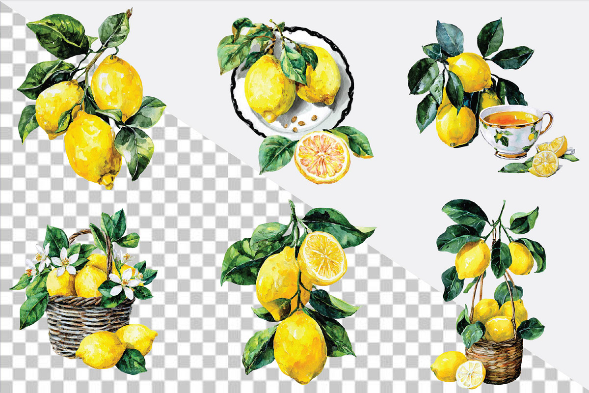 Watercolor Lemon Clipart, an Illustration by SVGArt (Photo 3 of 4)