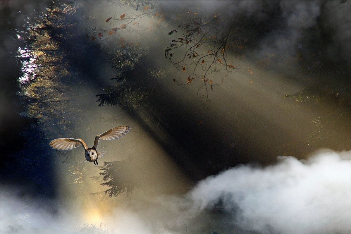 Realistic Smoke Overlays Photoshop, an Action Add-On by PhotoSpirit (Photo 2 of 7)