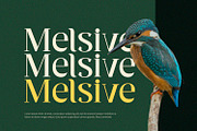 Ventura - Serif Font, a Serif Font by Alpaprana (Thumbnail 4 of 10)