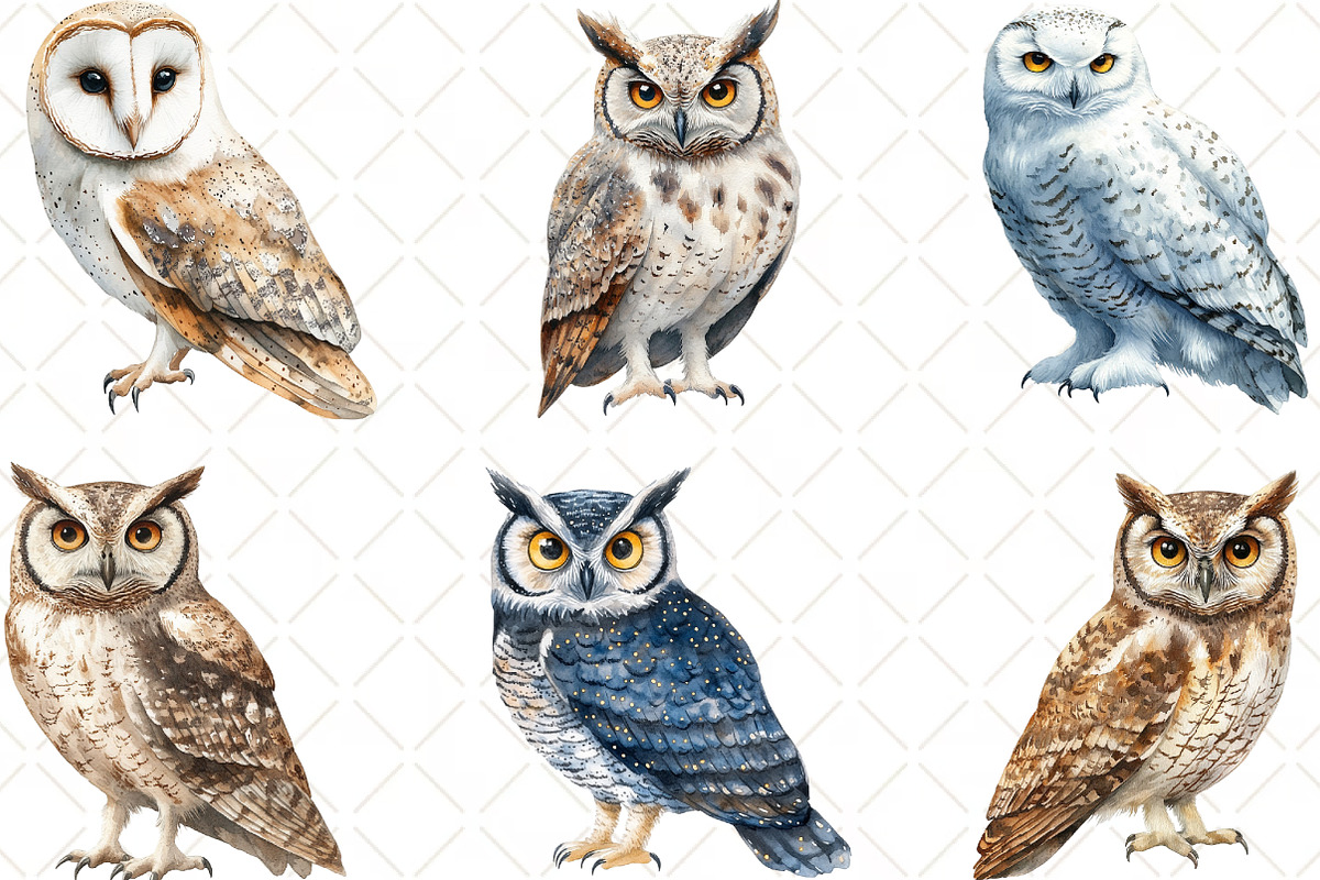 Vintage Owl Clipart, an Illustration by Black Bird Studio (Photo 3 of 6)