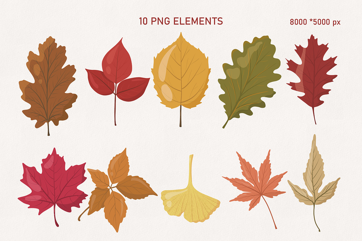 Hello Autumn — Leaves Set, an Object Graphic by Vaniuta_Art (Photo 3 of 10)