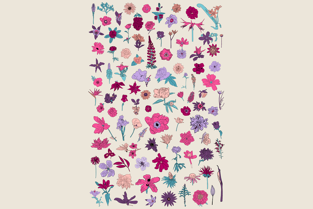 Preserving the bloom 100 flowers, a Decorative Illustration by Visual Animal (Photo 8 of 10)