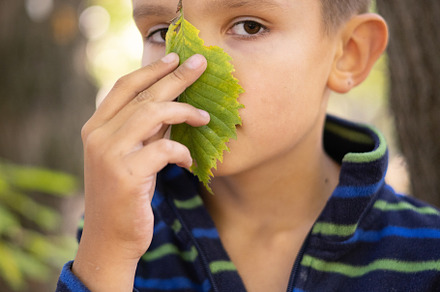 boy, teenager in Autumn Park