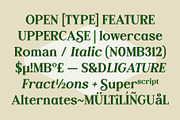 Monagi – Retro Golf Serif Font, a Serif Font by Drizy (Thumbnail 5 of 10)
